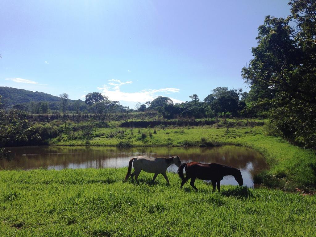 Águas Vivas Hotel Fazenda Pirenópolis Exterior foto