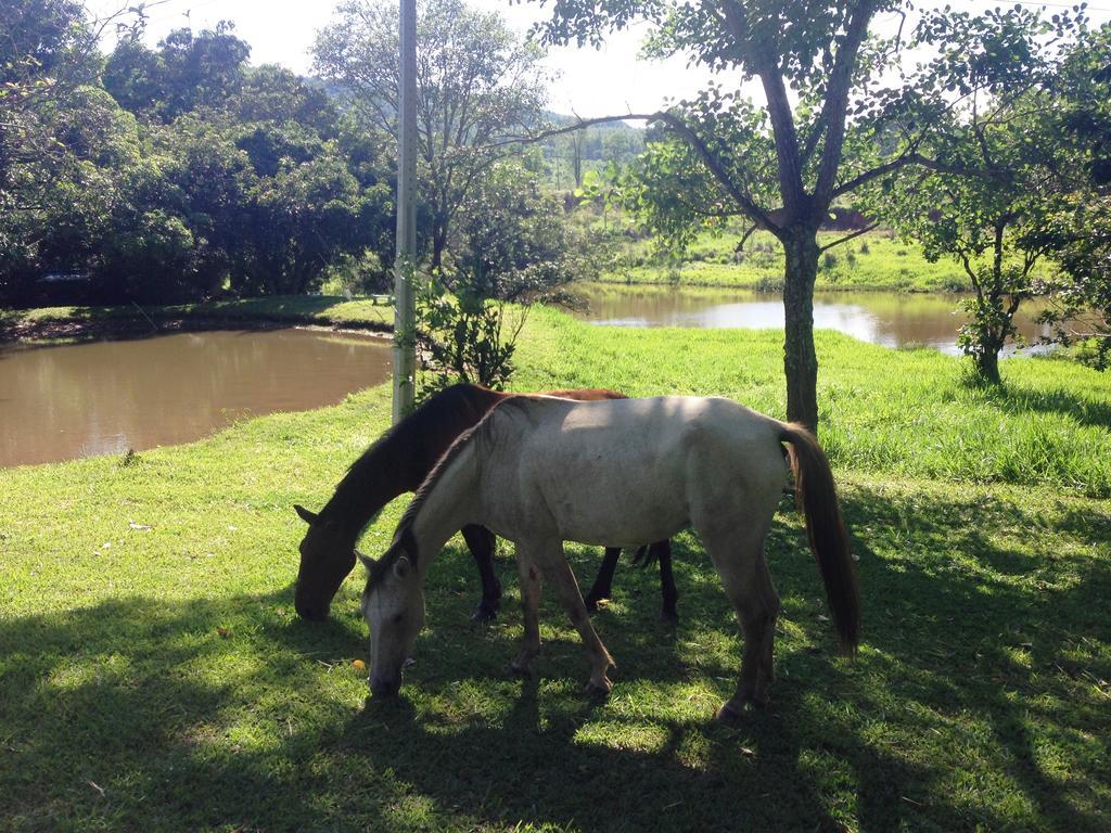 Águas Vivas Hotel Fazenda Pirenópolis Exterior foto